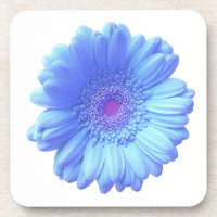 Blauer Gänseblümchen