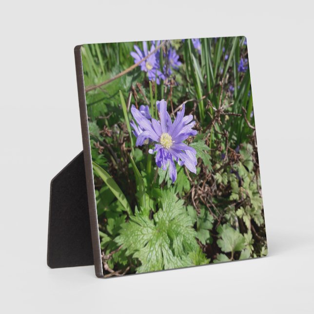Blauer Garten Blume Fotoplatte (Vorderseite)