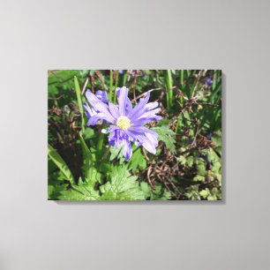 Blauer Garten Blume Leinwanddruck