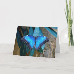 Blauer Gemeiner Morpho Schmetterling Karte