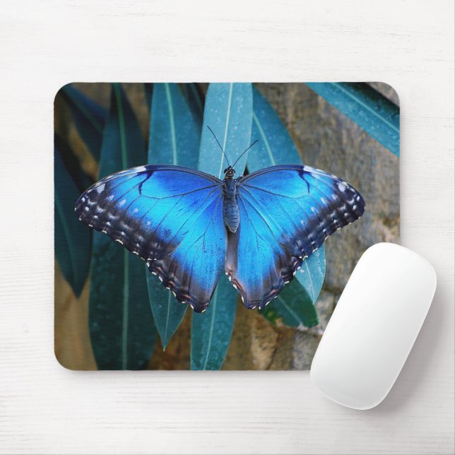 Blauer Gemeiner Morpho Schmetterling Mousepad (Mit Mouse)