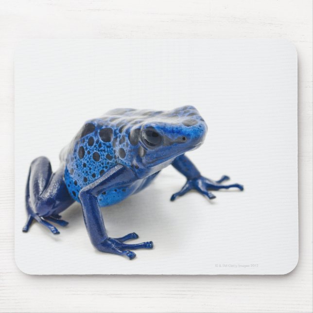 Blauer Gift-Dart-Frosch (Dendrobates-Tinctorius) Mousepad (Vorne)