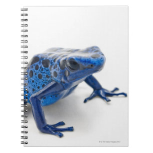 Blauer Gift-Dart-Frosch (Dendrobates-Tinctorius) Notizblock