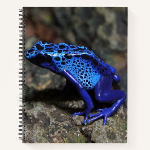 Blauer Gift-Dart-Frosch, heller Blaufrosch Notizbuch