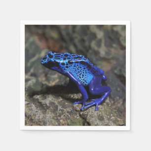 Blauer Gift-Dart-Frosch, heller Blaufrosch Serviette