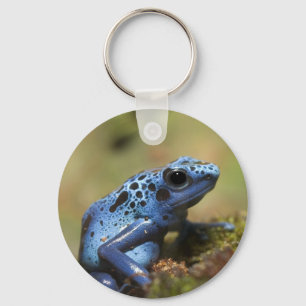 Blauer Gift-Pfeil-Frosch Schlüsselanhänger