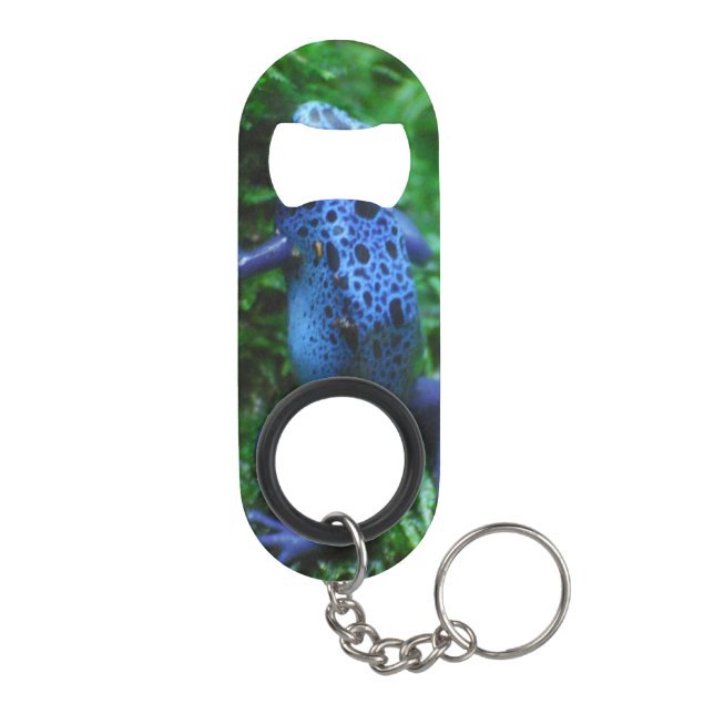 Blauer Gift-Pfeil-Frosch Schlüsselbund Flaschenöffner (Rückseite)