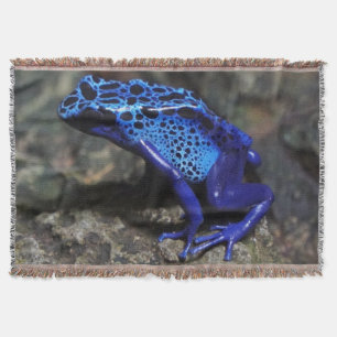 Blauer Giftfrösch, Hellblauer Frosch Decke