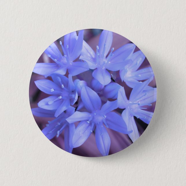 Blauer Glanz des Schneekanals Button (Vorderseite)