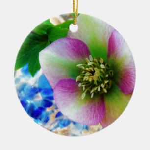 Blauer Glasball der rosa Lenten Rose Keramikornament
