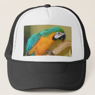 Blauer Goldmacaw-Papageien-Malerei-Hut Truckerkappe
