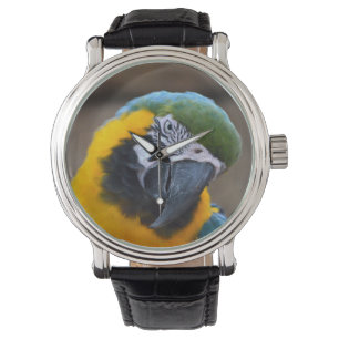 blauer Goldpapagei Macawkopf gekippt Armbanduhr