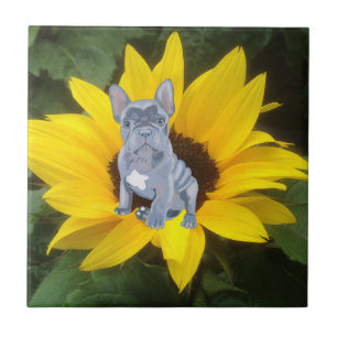 Blauer Grauer Bulldog Welpe und Sonnenblume Fliese