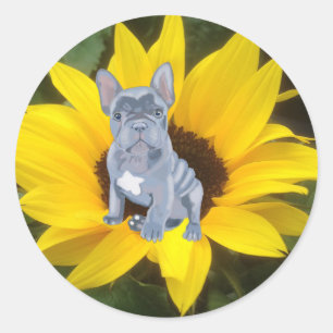 Blauer Grauer Bulldog Welpe und Sonnenblume Runder Aufkleber