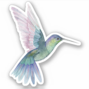 Blauer Grüner Kolibri Natur Wildleben  Aufkleber