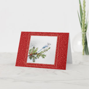 Blauer Häher auf einem Kiefernzweig Weihnachten Karte