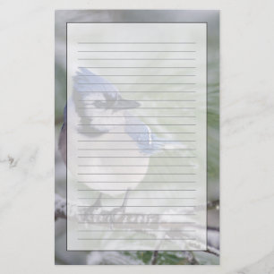 Blauer Häher, Cyanocitta cristata Briefpapier