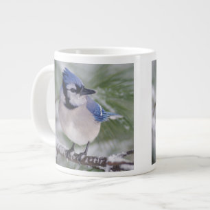 Blauer Häher, Cyanocitta cristata Jumbo-Tasse