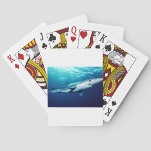 Blauer Haifisch Spielkarten