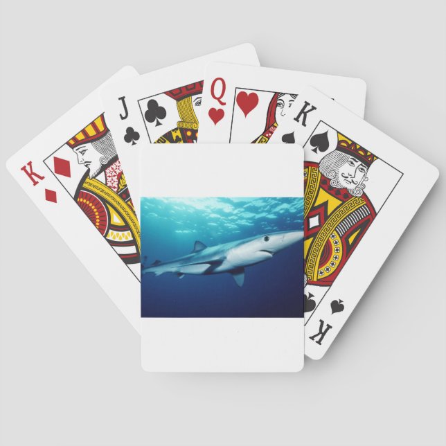 Blauer Haifisch Spielkarten (Rückseite)