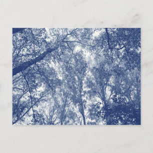 Blauer Herbst - Zyanotypeffekt Postkarte