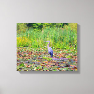 Blauer Heron, Seerosen, hübscher Wildvogel, Natur Leinwanddruck