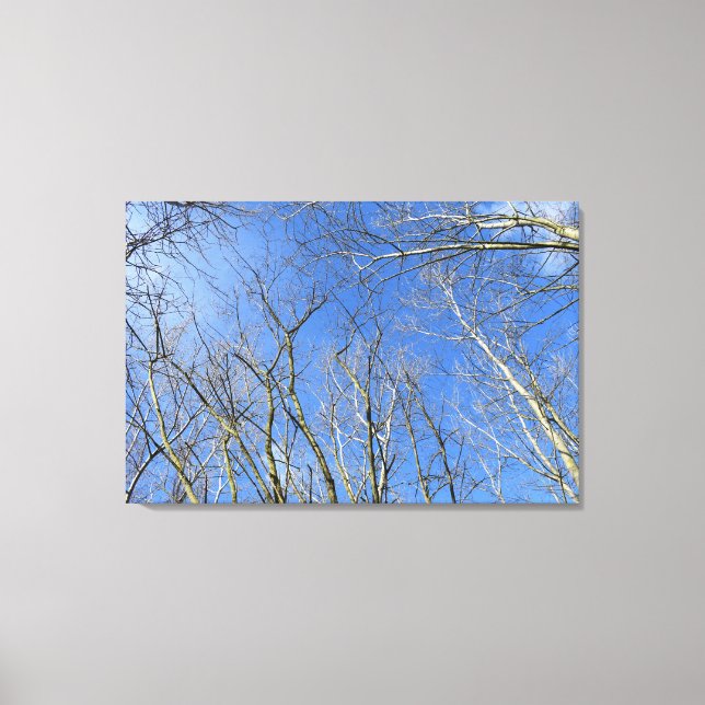 Blauer Himmel, Bäume im Winter Leinwanddruck (Vorderseite)
