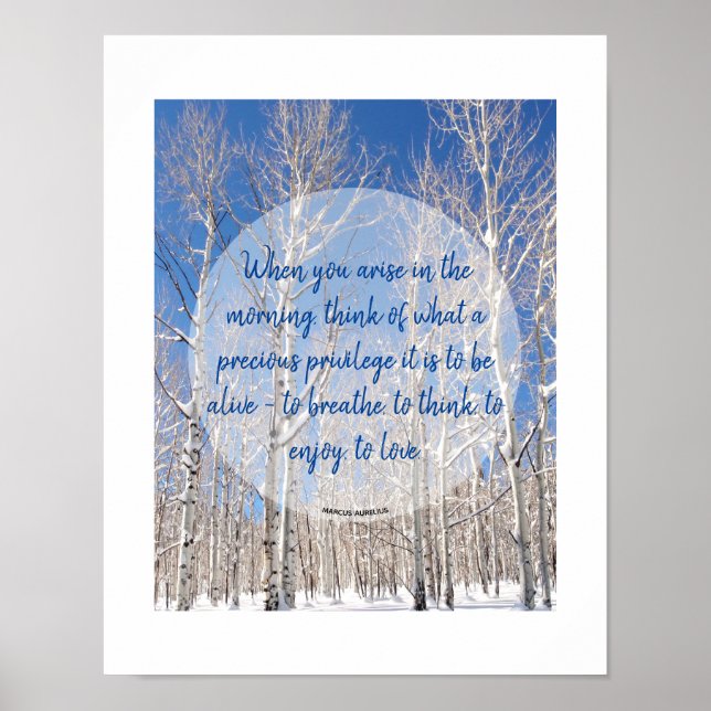 Blauer Himmel im Schnee im Foto Poster (Vorne)