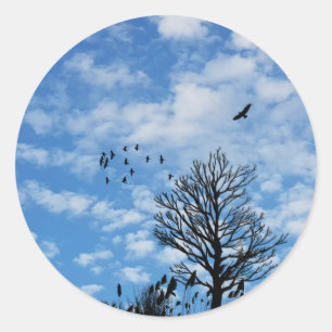 Blauer Himmel-Weiß bewölkt Eagle-Vogel-Baum-Gras Runder Aufkleber