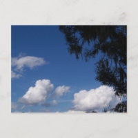 Blauer Himmel, weiße Wolken und Baum auf einer Pos