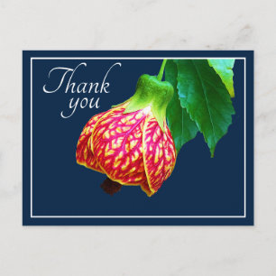 Blauer Hintergrund der Ahorn-Blume Vielen Dank Postkarte
