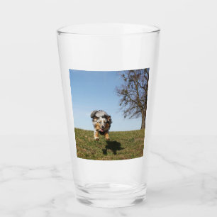 Blauer Hirtenspringer Glas