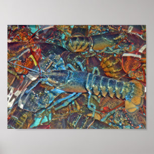 Blauer Hummer, Maine Poster