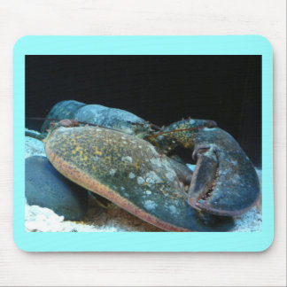 blauer Hummer Mousepad
