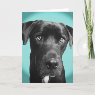 Blauer Hund Karte