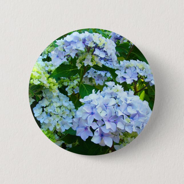 Blauer Hydrangea-Blumenknopf Hydrangeas-Garten Button (Vorderseite)