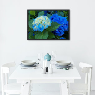 Blauer Hydrangea Blütenglanz Poster