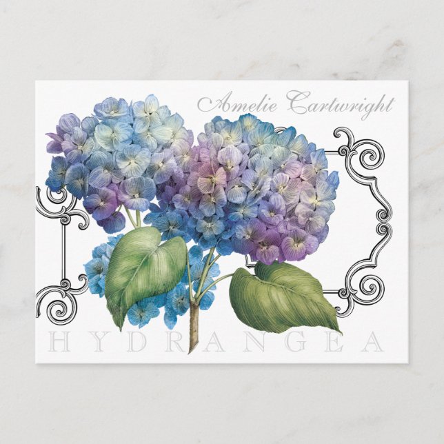 Blauer Hydrangea Mit Monogramm Name Postkarte (Vorderseite)