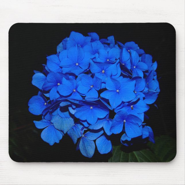 Blauer Hydrangea Mousepad (Vorne)