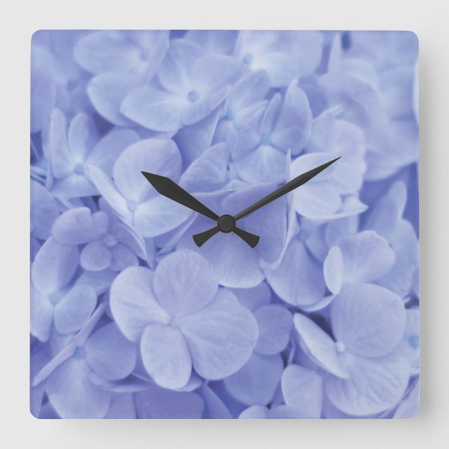 Blauer Hydrangea Quadratische Wanduhr (Vorderseite)