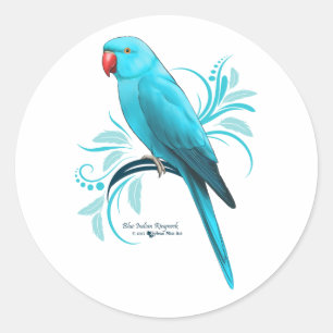 Blauer Inder Ringneck Papagei Runder Aufkleber