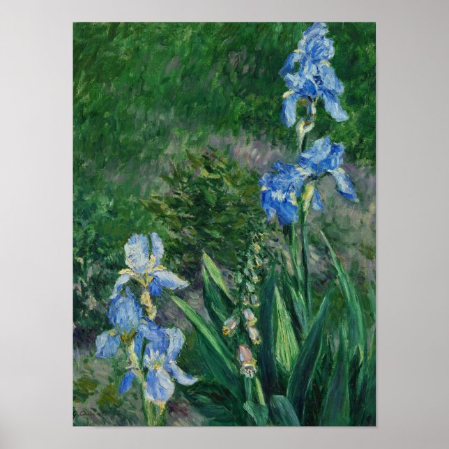 Blauer Ire, Garden bei Petit Gennevilliers, 1892 Poster (Vorne)
