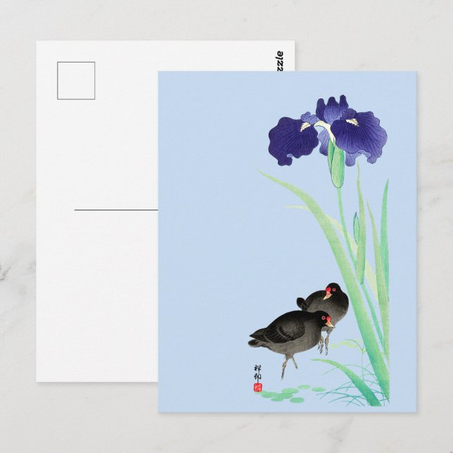 Blauer Iren und Mauren von Ohara Koson Postkarte (Vorne/Hinten)