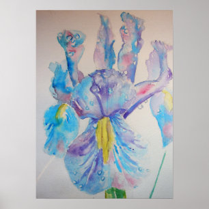 Blauer Iris Irische Blume Wasserfarben-Poster Poster