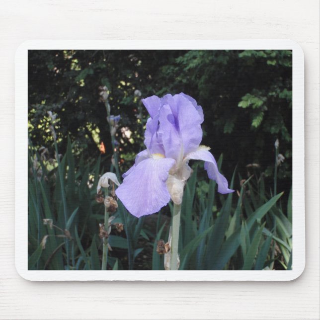 Blauer Iris Mousepad (Vorne)