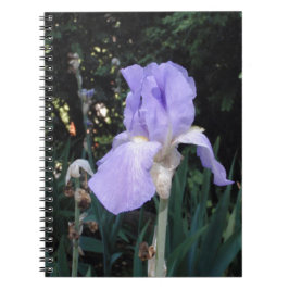 Blauer Iris Notizblock