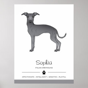 Blauer Italienischer Windhund Süßer Hund Mit Benut Poster