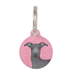 Blauer Italienischer Windhund Süßer Hundekopf Rosa Haustiermarke