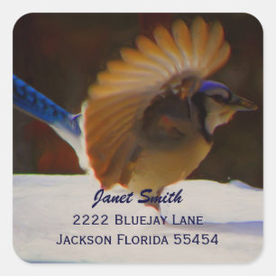 Blauer Jay-Adressen-Aufkleber Quadratischer Aufkleber