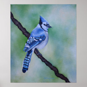 Blauer Jay-Leinwand-Druck Poster